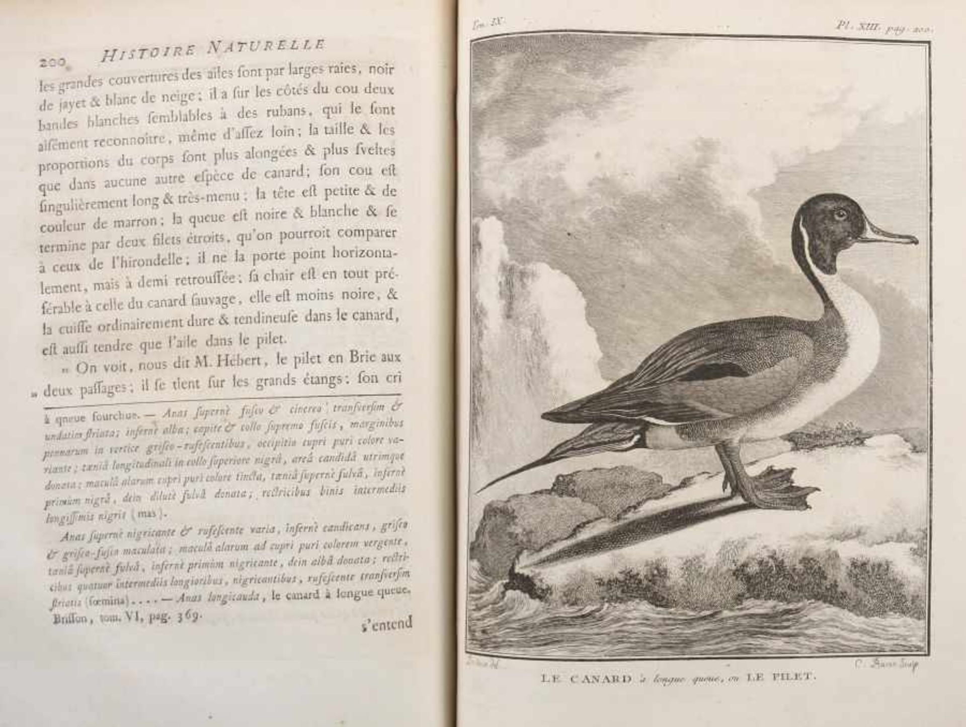 Buffon, G. Comte deHistoire naturelle: générale et particulière, avec la description du Cabinet du - Bild 6 aus 6