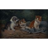 Kögl, BennoGreding 1892 - 1973 München, deutscher Tiermaler. "Drei junge Katzen", vor einem