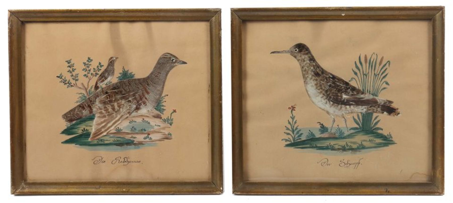 2 Federaquarelle von VögelnDarstellung einer Schnepfe und eines Rebhuhn, Wasserfarbe auf braunem