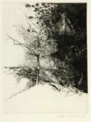 SCHEEL, UDOWismar 1940 Landschaft mit Baum. Lithographie, handsigniert und datiert: (19)72.