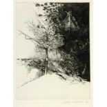 SCHEEL, UDOWismar 1940 Landschaft mit Baum. Lithographie, handsigniert und datiert: (19)72.