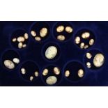 A LOT OF 30 SHELL CAMEOS Oval, approximately 10-30 mmLOT VON 30 MUSCHELKAMEENOval, ca. 10-30mm- - -