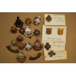 Royal Sussex Regiment, a good selection of cap and collar badges, Officer's Bronze cap badge,