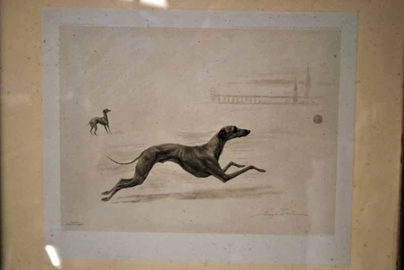 Maud Earl (1864-1934) Running Greyhound, pencil signed print, published by the Berlin Photographic