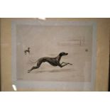 Maud Earl (1864-1934) Running Greyhound, pencil signed print, published by the Berlin Photographic