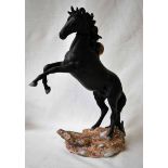 A large Beswick Ware/Royal Doulton Cancara the Black Horse, modelled by J G Tongue, produced as a