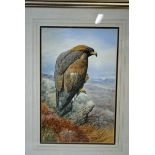 C David Johnston (b.1946), Golden Eagle perched on a Rocky Outcrop, signed watercolour dated 1975,
