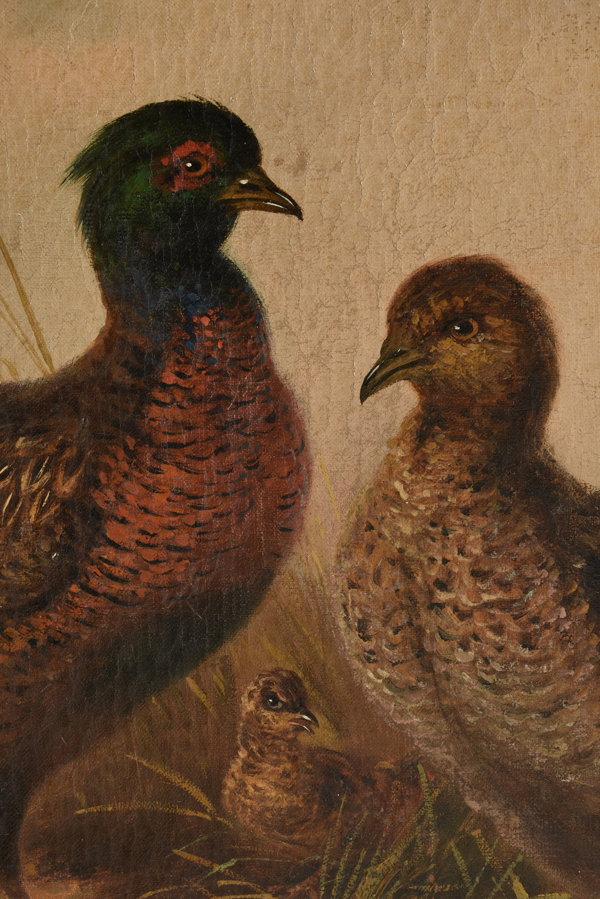MUNICH SCHOOL (19th Century) A PAINTING, "Pheasant Family," GERMAN, oil on canvas, signed L/R, "A. - Image 8 of 19