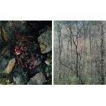 ELIOT PORTER (American 1901-1990) TWO PHOTOGRAPHS, "Redbud Trees in Bottomland, Near Red River