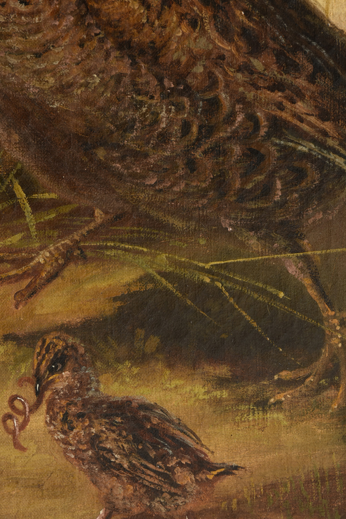 MUNICH SCHOOL (19th Century) A PAINTING, "Pheasant Family," GERMAN, oil on canvas, signed L/R, "A. - Image 4 of 19