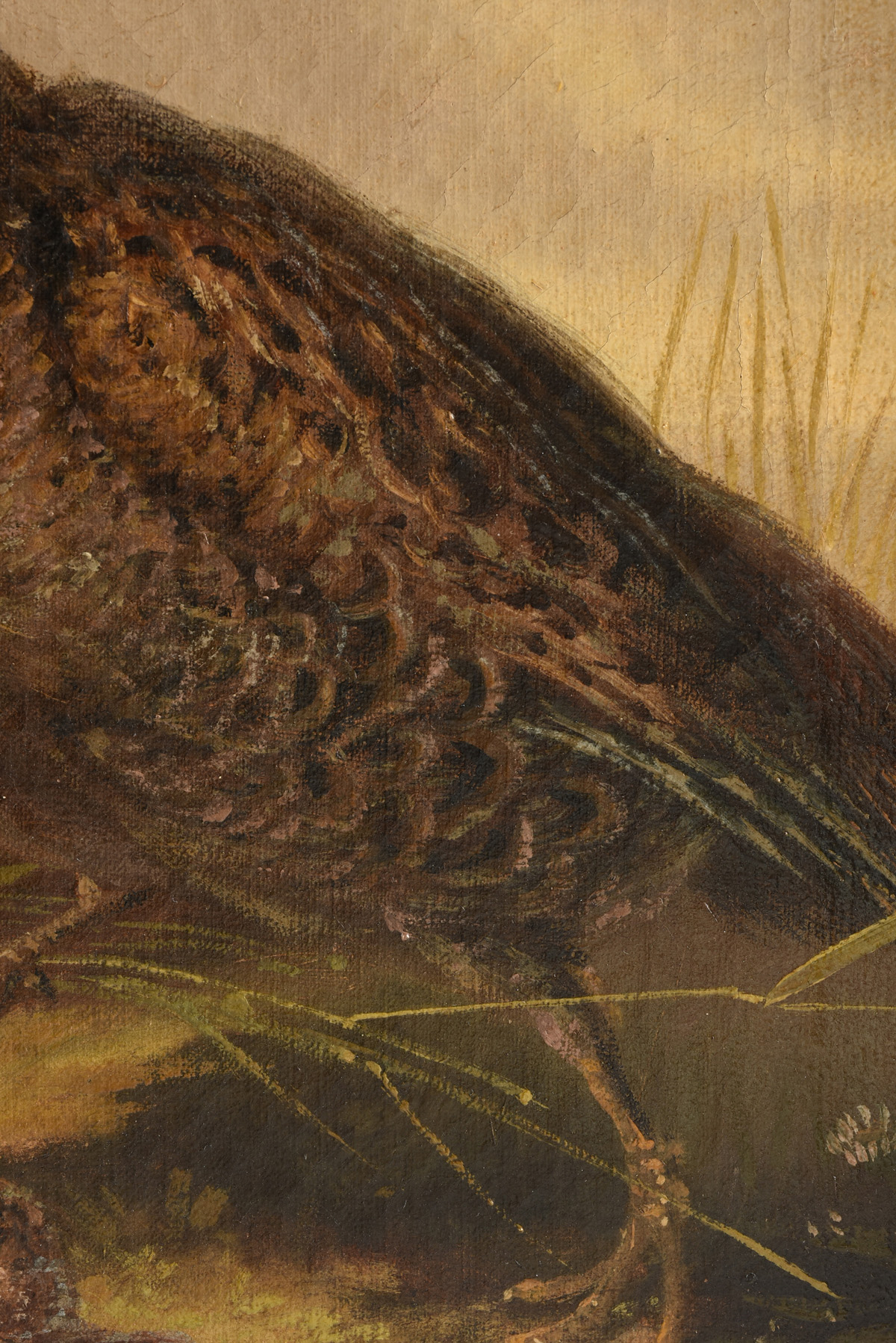 MUNICH SCHOOL (19th Century) A PAINTING, "Pheasant Family," GERMAN, oil on canvas, signed L/R, "A. - Image 11 of 19