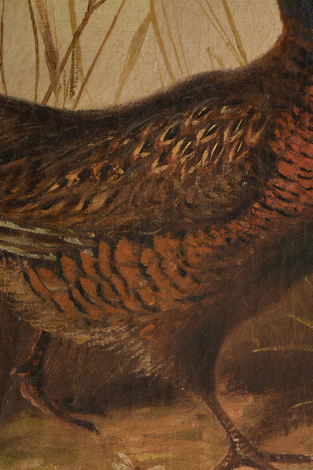 MUNICH SCHOOL (19th Century) A PAINTING, "Pheasant Family," GERMAN, oil on canvas, signed L/R, "A. - Image 9 of 19