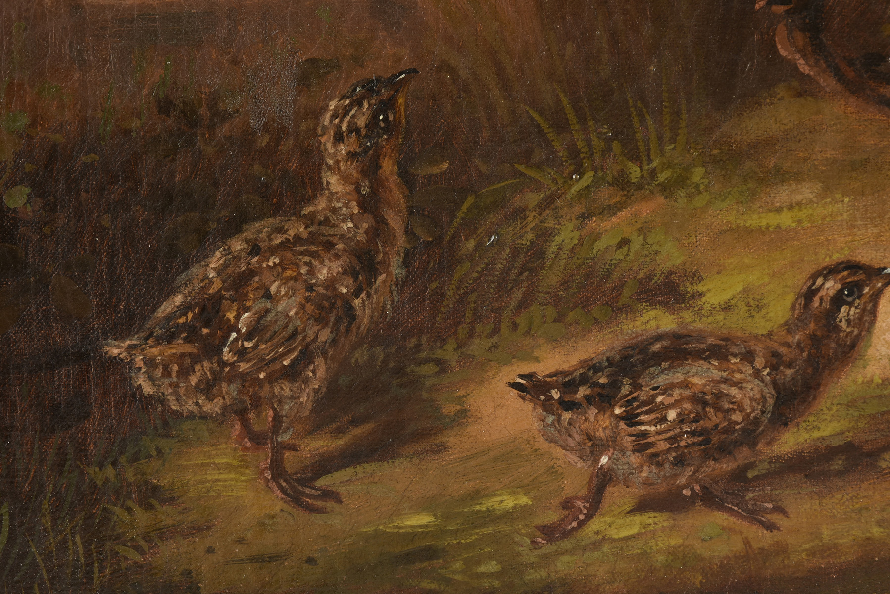 MUNICH SCHOOL (19th Century) A PAINTING, "Pheasant Family," GERMAN, oil on canvas, signed L/R, "A. - Image 6 of 19