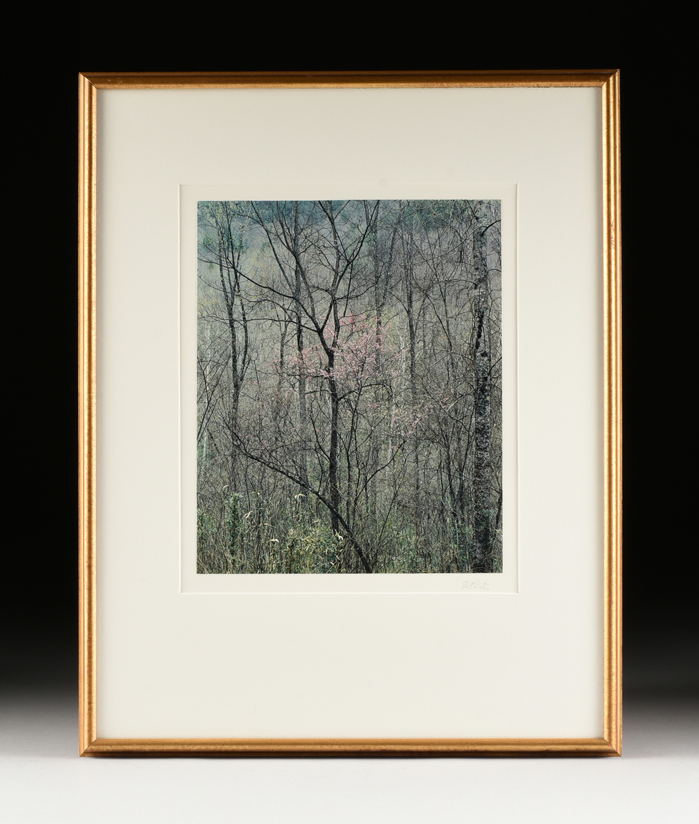 ELIOT PORTER (American 1901-1990) TWO PHOTOGRAPHS, "Redbud Trees in Bottomland, Near Red River - Image 13 of 20