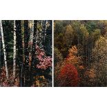 ELIOT PORTER (American 1901-1990) TWO PHOTOGRAPHS,"Colorful Trees, Newfound Gap Road, Great Smoky