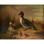 MUNICH SCHOOL (19th Century) A PAINTING, "Green Winged Teal Duck Family," GERMAN, oil on canvas,