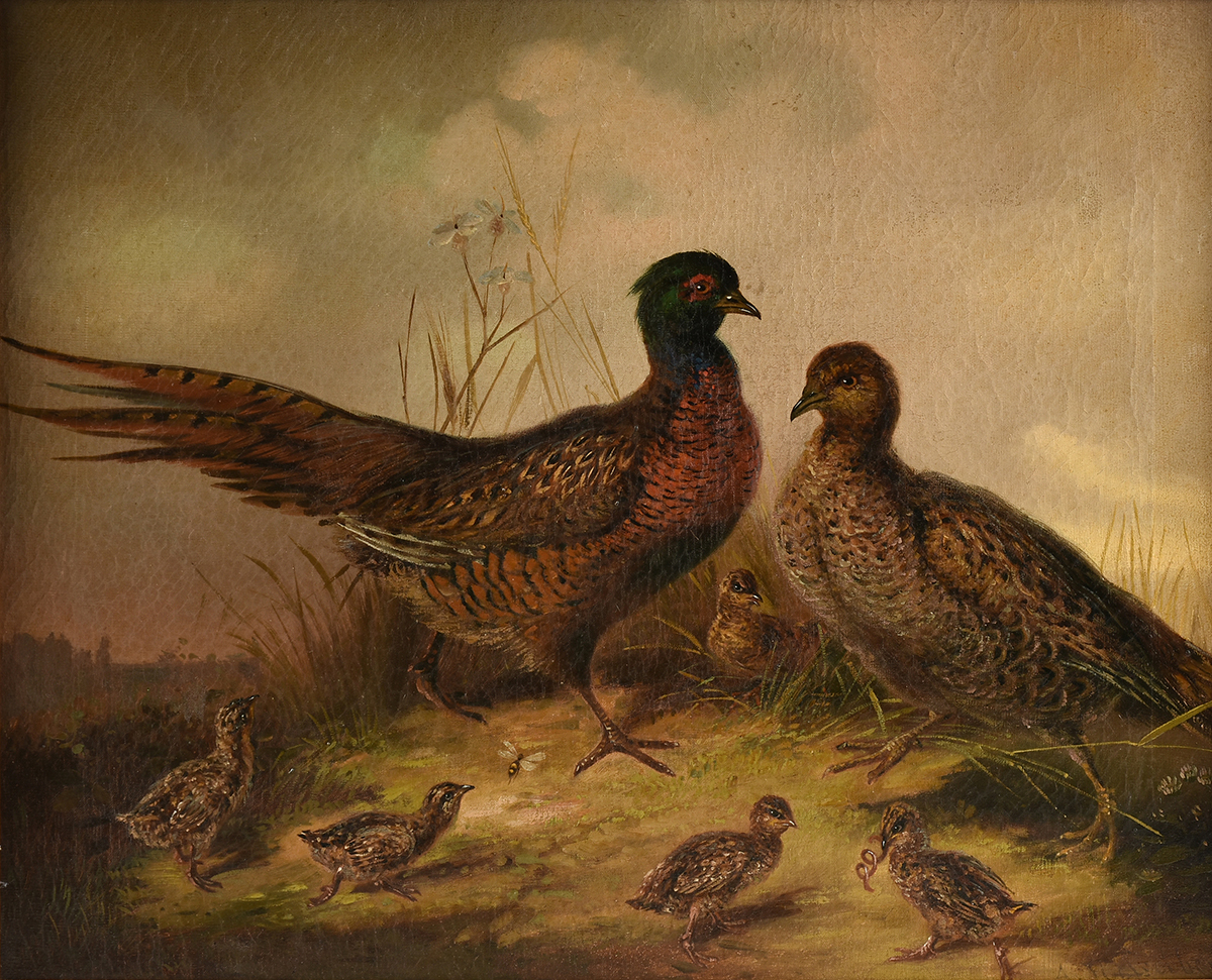 MUNICH SCHOOL (19th Century) A PAINTING, "Pheasant Family," GERMAN, oil on canvas, signed L/R, "A.