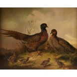 MUNICH SCHOOL (19th Century) A PAINTING, "Pheasant Family," GERMAN, oil on canvas, signed L/R, "A.