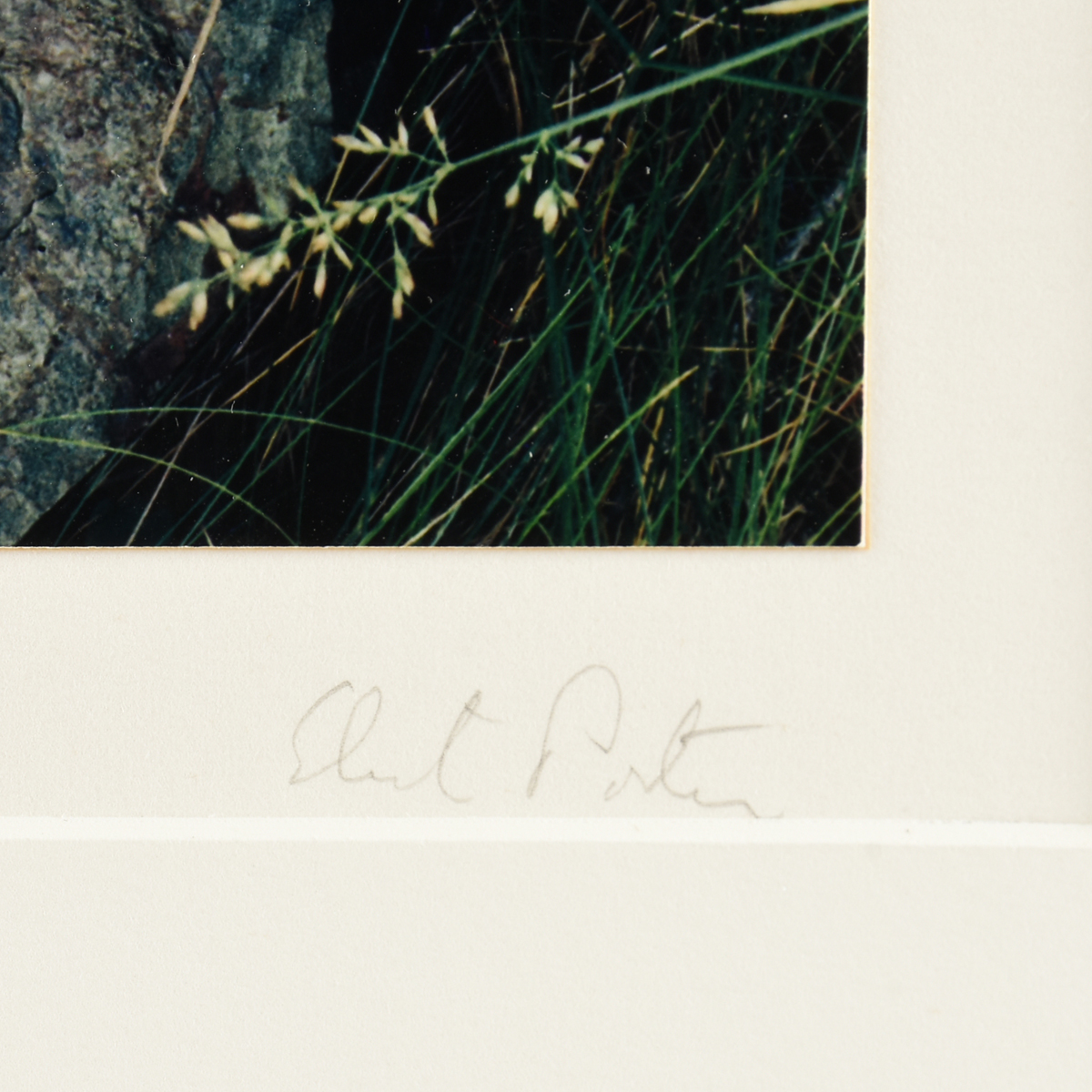 ELIOT PORTER (American 1901-1990) TWO PHOTOGRAPHS, "Redbud Trees in Bottomland, Near Red River - Image 4 of 20