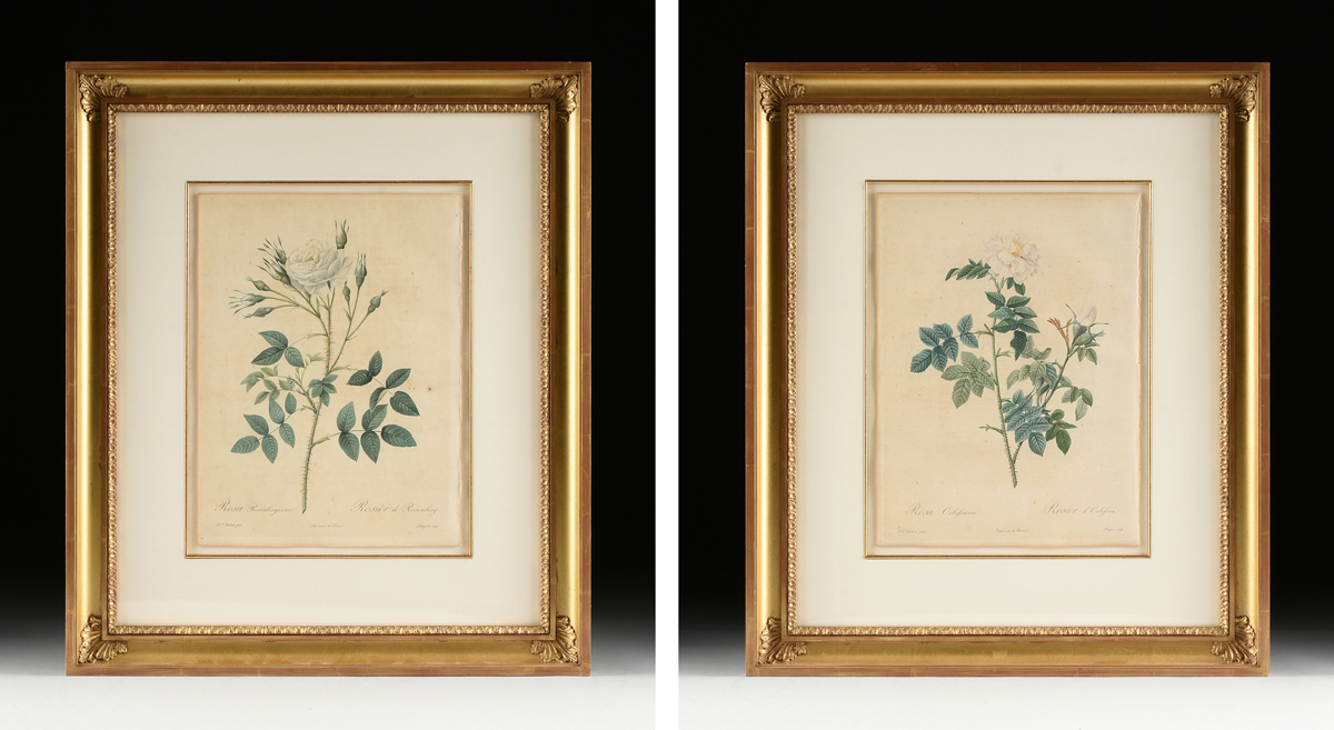 after PIERRE JOSEPH REDOUTÉ (Belgian/French 1759-1840) A PAIR OF BOTANICAL PRINTS, EARLY 19TH