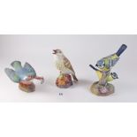 Three Royal Worcester medium birds comprising: kingfisher, blue tit pair and thrush