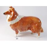 A Beswick figure of a Collie 'Lochinvar of Lady Park'