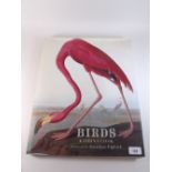 Birds by Katrina Cook, published by Quercus 2007 - first edition, first printing. Size: elephant