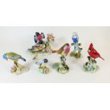 Six Royal Adderley bird ornaments comprising: Myotts Warbler, Blue Tits, Robin, Virginian