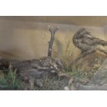 Pair cased and mounted Nightjars, 24 x 14 x 11 ins