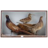 Cased and mounted Cock and Hen Pheasants, Woodcock, 31 x 18 x 8 ins