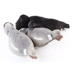 Quantity of crow and pigeon half shell decoys