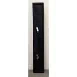 2 gun steel security cabinet, double locks with two sets of keys, h.51¼ ins x w.6 ins x d.8 ins