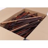 Large quantity of wooden cleaning rods