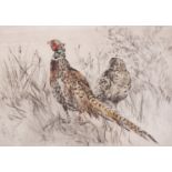 Framed glazed and mounted coloured etching of Cock and Hen Pheasant by Henry Wilkinson, signed and