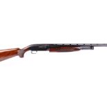 (S1) 12 bore Winchester Model 12 Custom Skeet pump action, 5 shot, 25½ ins take down barrel fitted