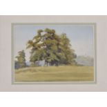 •John Cyril Harrison (1898-1985) pencil and watercolour on paper, 'Landscape with Oak Tree', 11.5 cm