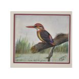 •David Morrison Reid-Henry (1919-1977) watercolour on paper, 'Ceylon Hill Kingfisher', signed and