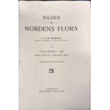 C. A. M. Lindman 'Bilder ur Nordens Flora' 663 coloured lithographs with text, unbound in two cases