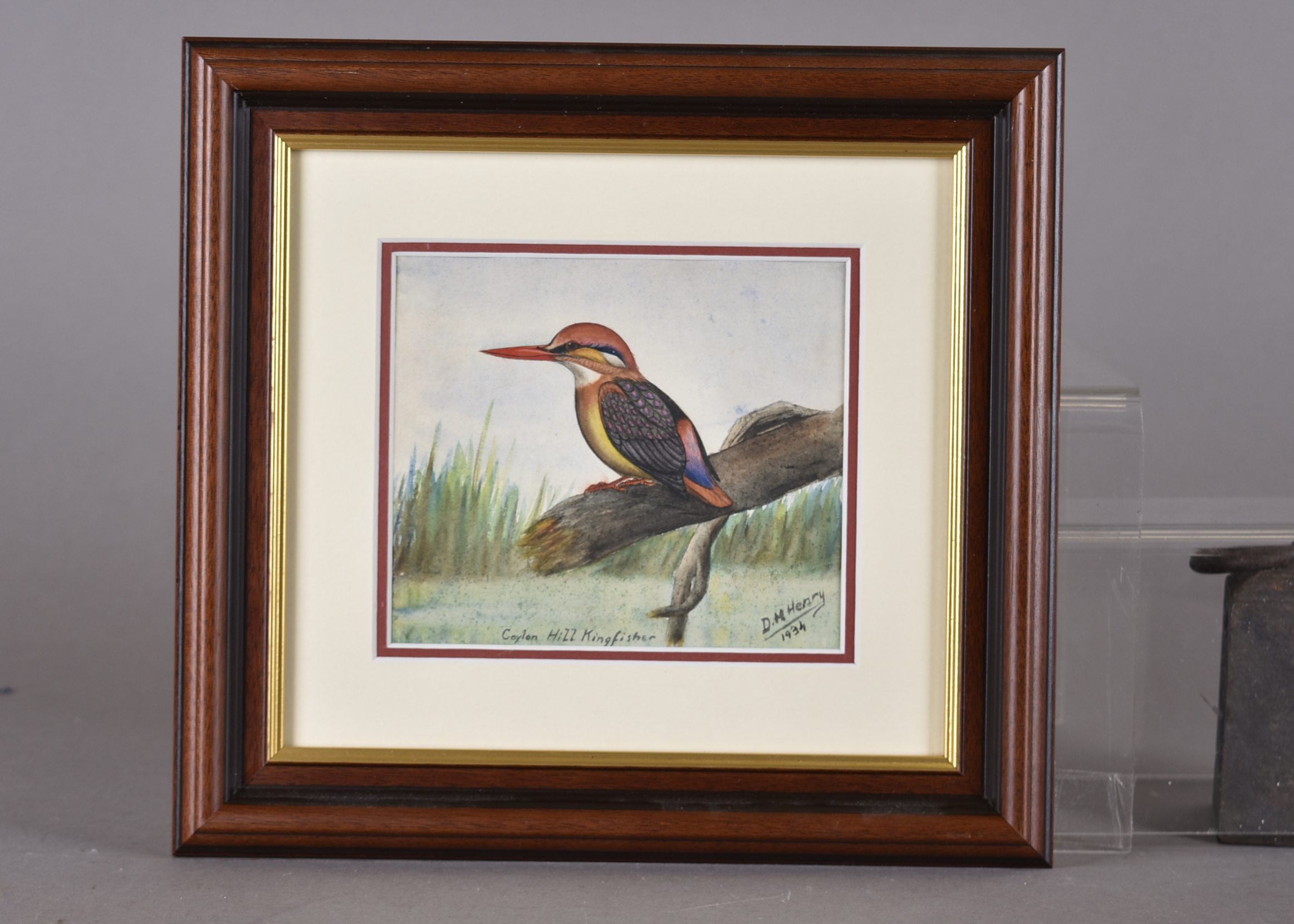 •David Morrison Reid-Henry (1919-1977) watercolour on paper, 'Ceylon Hill Kingfisher', signed and - Image 2 of 2