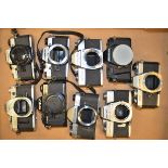A Tray of Manual SLR Bodies, including Canon, Minolta, Olympus, Pentax, Rolleiflex and Yashica