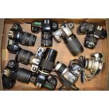 A Tray of Nikon SLR Cameras, including F-401s, F-601 (2 examples), F50 (2 examples), F55, FM10,