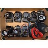 A Tray of Canon T Series SLR Cameras and Bodies, including Canon T50 (2), T70 (2 bodies, 1