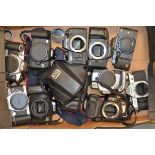 A Quantity of SLR Film Camera Bodies, some manual some auto focus including Canon, Minolta, Praktica