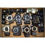 A Tray of Minolta Dynax and Nikon AF SLR Bodies, including Minolta Dynax 300si (2 examples),