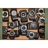 A Tray of 35mm SLR Camera Bodies, including Canon EOS, Minolta, Nikon, Pentax and Ricoh