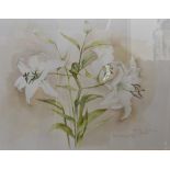 Three pencil and watercolours of botanical subjects, comprising Barbara Watson (1893-1978) '