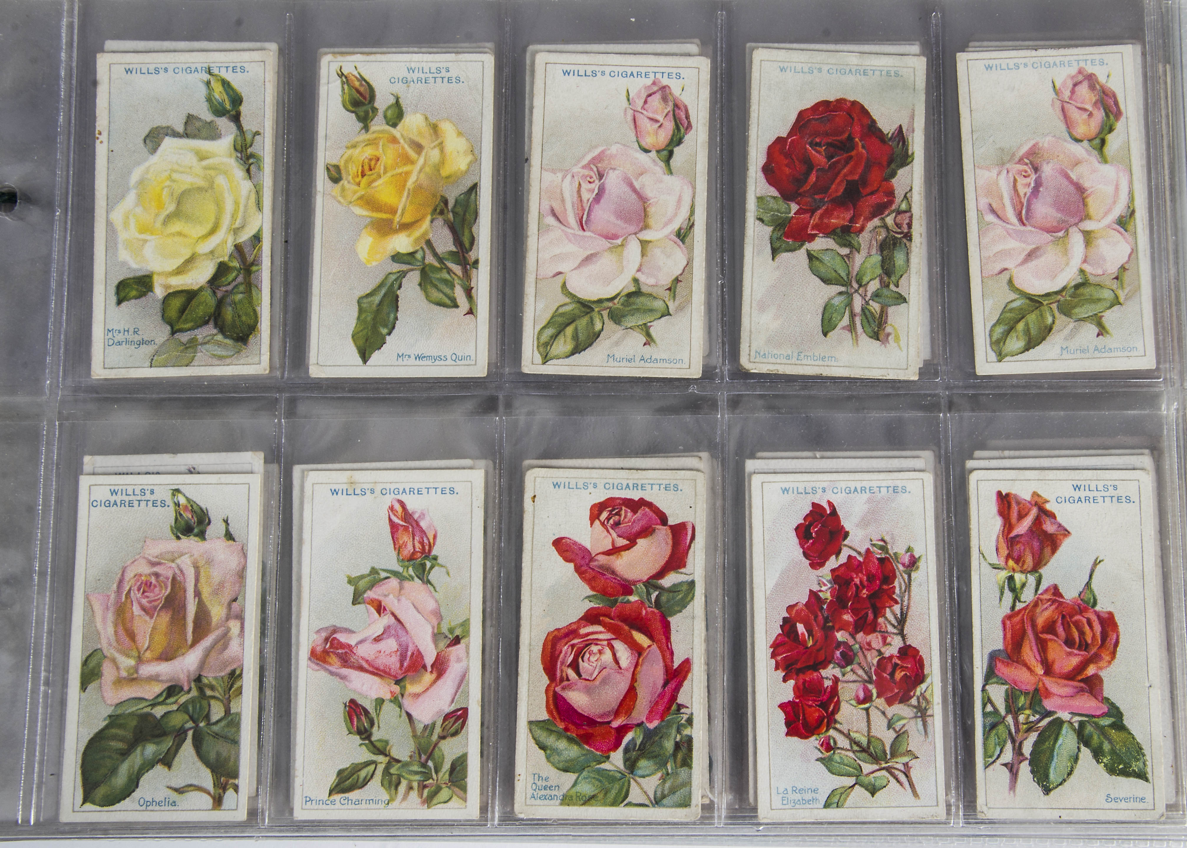 Cigarette Cards, Floral, a selection of sets to name Players Struggle for Existence, Wills Roses A &