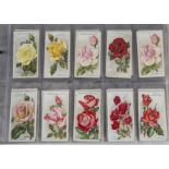 Cigarette Cards, Floral, a selection of sets to name Players Struggle for Existence, Wills Roses A &