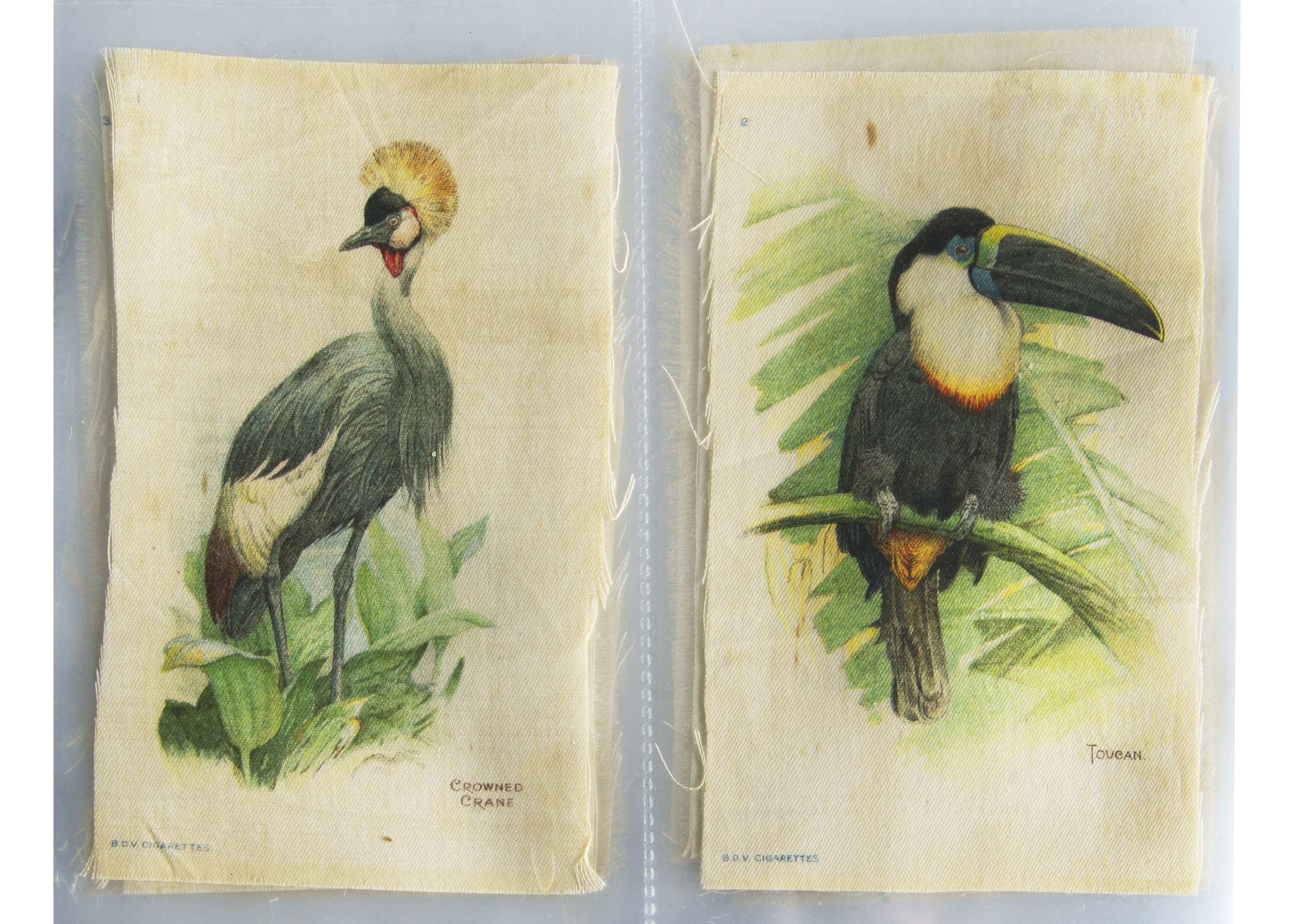 Cigarette Silks, Phillips, Birds of the Tropics (P set)(gd)