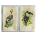 Cigarette Silks, Phillips, Birds of the Tropics (P set)(gd)